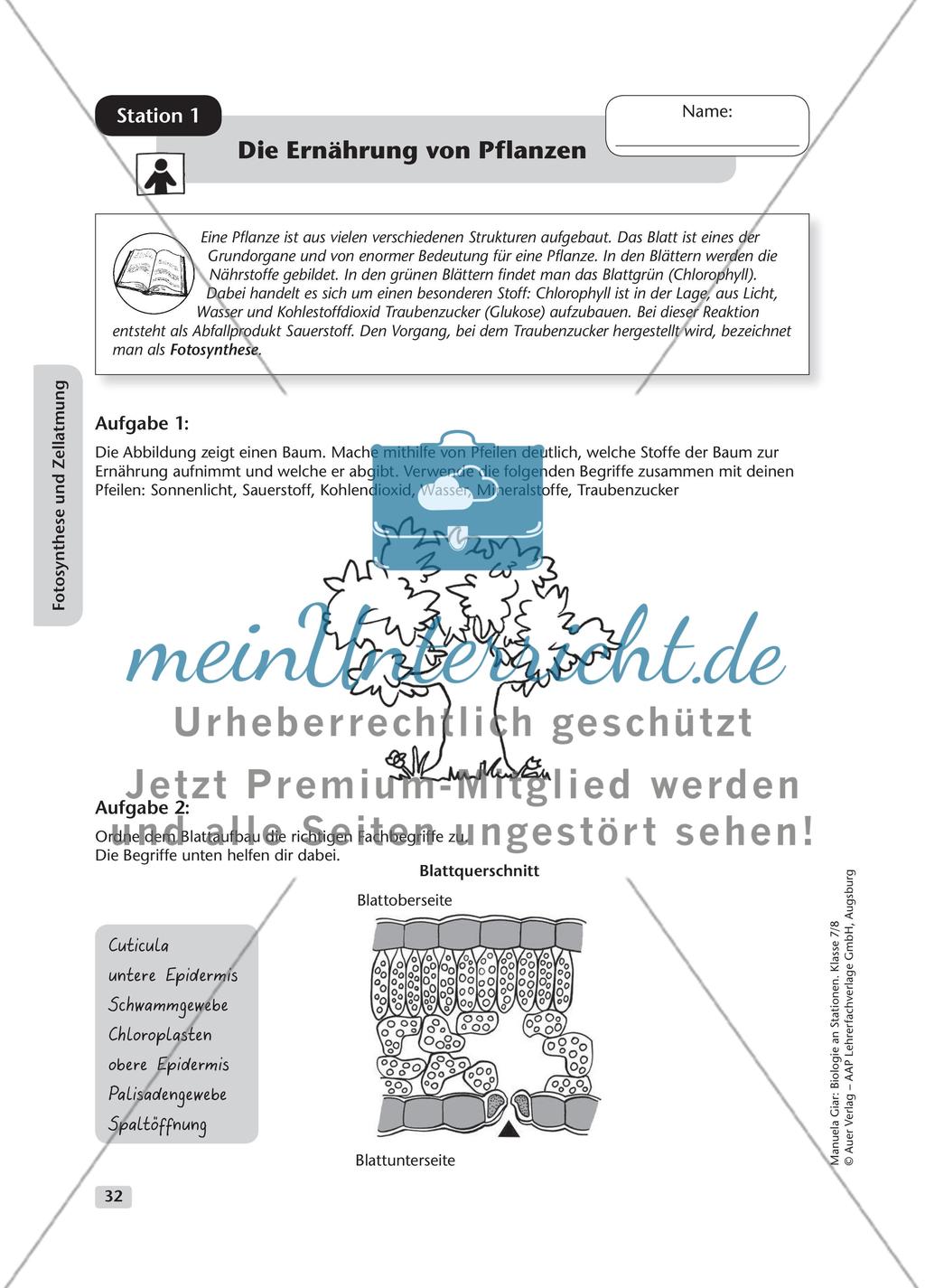 Mikroskopieren – die Zelle – Teil 3 Preview 1