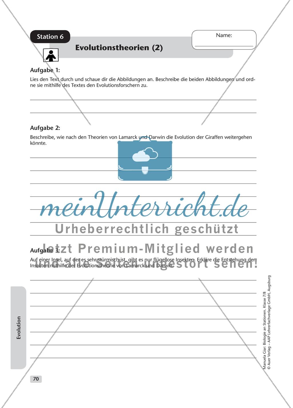 Evolution – Teil 1 Preview 10