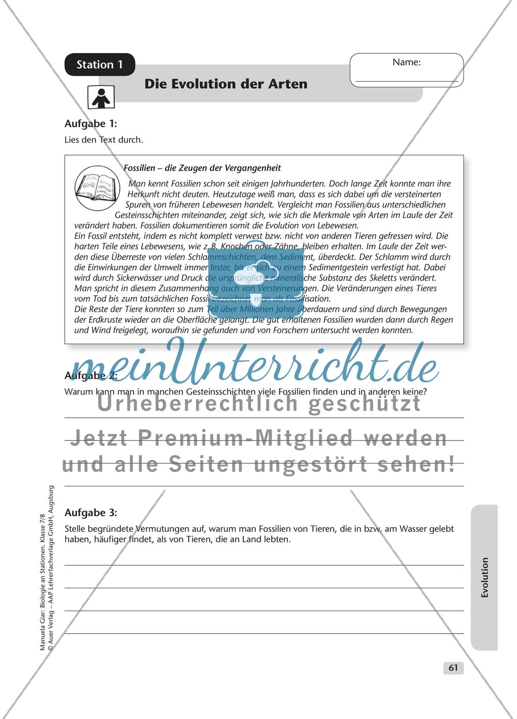 Evolution – Teil 1 Preview 1