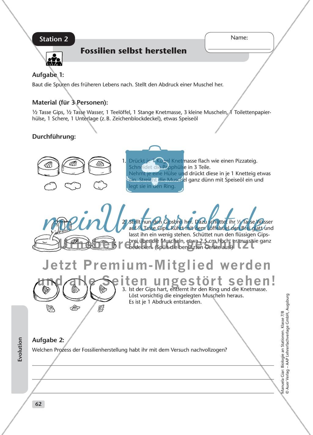 Evolution – Teil 1 Preview 2