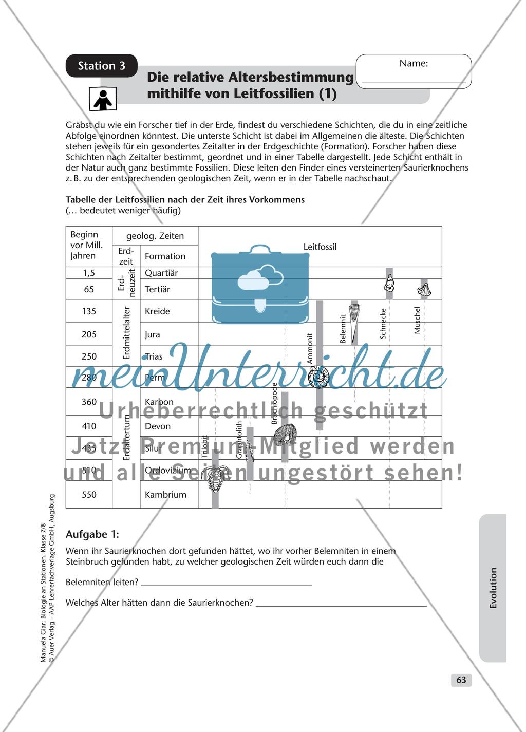 Evolution – Teil 1 Preview 3