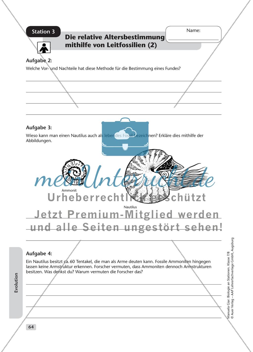 Evolution – Teil 1 Preview 4