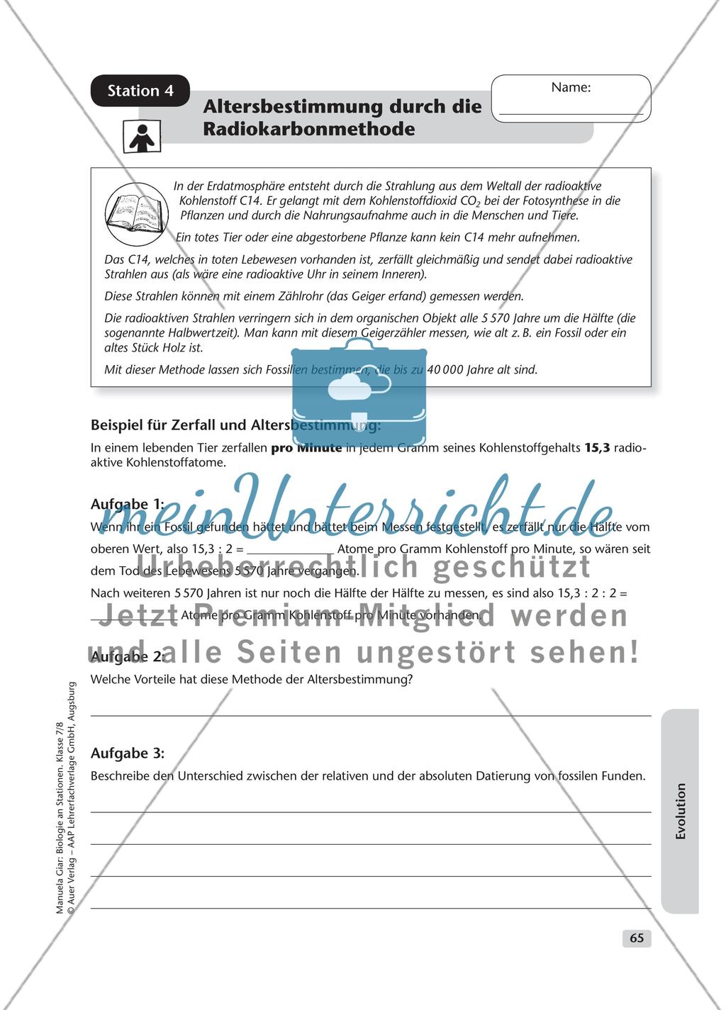 Evolution – Teil 1 Preview 5