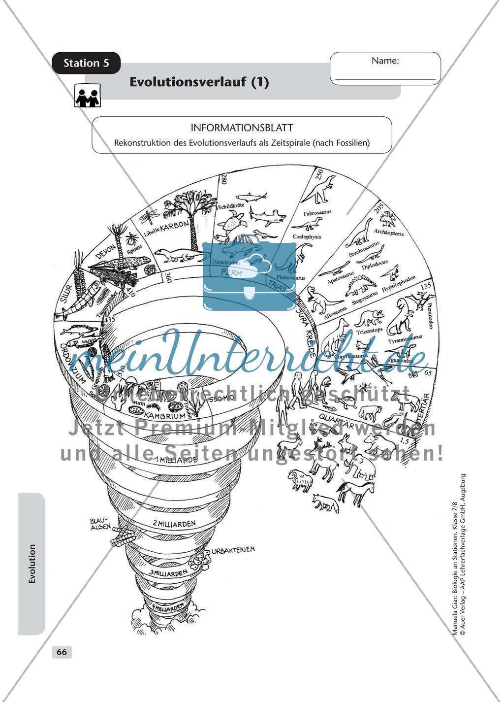 Evolution – Teil 1 Preview 6