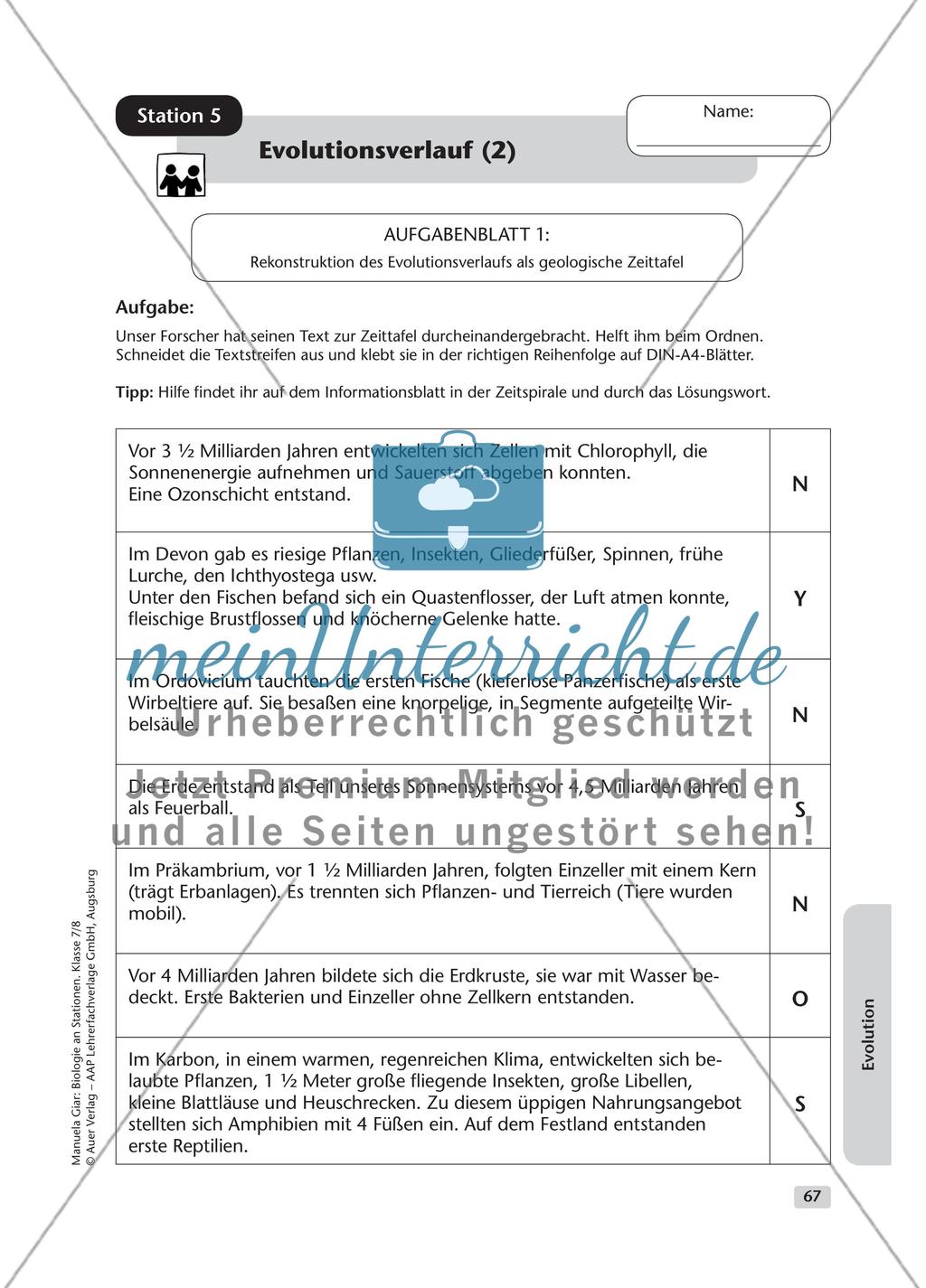 Evolution – Teil 1 Preview 7