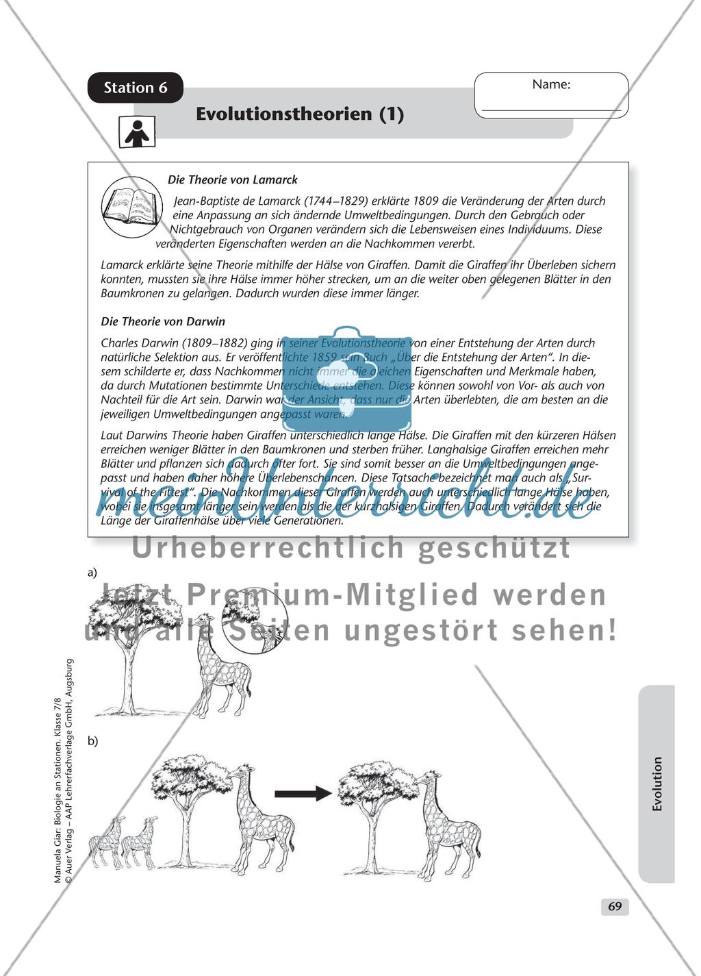 Evolution – Teil 1 Preview 9