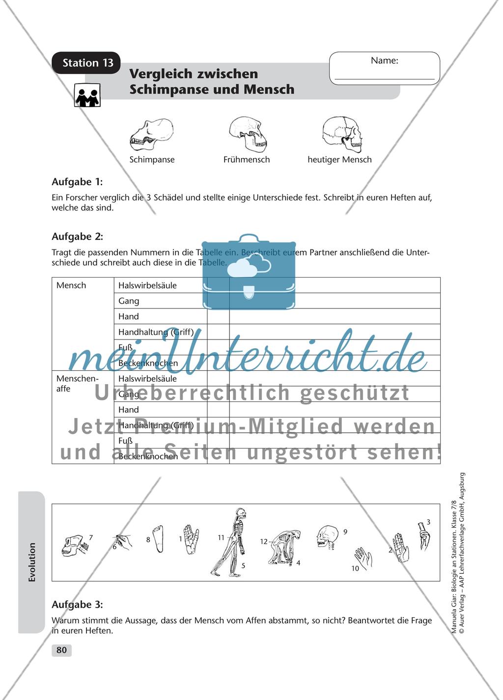 Evolution – Teil 2 Preview 10