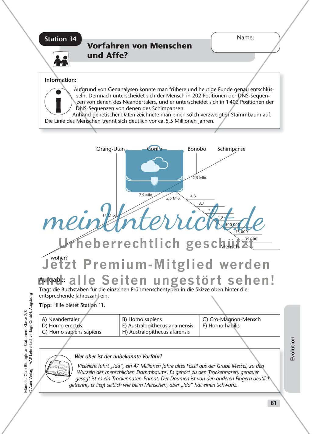 Evolution – Teil 2 Preview 11