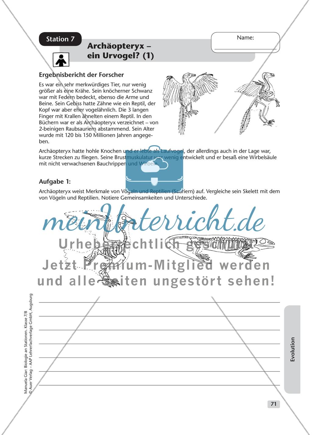 Evolution – Teil 2 Preview 1