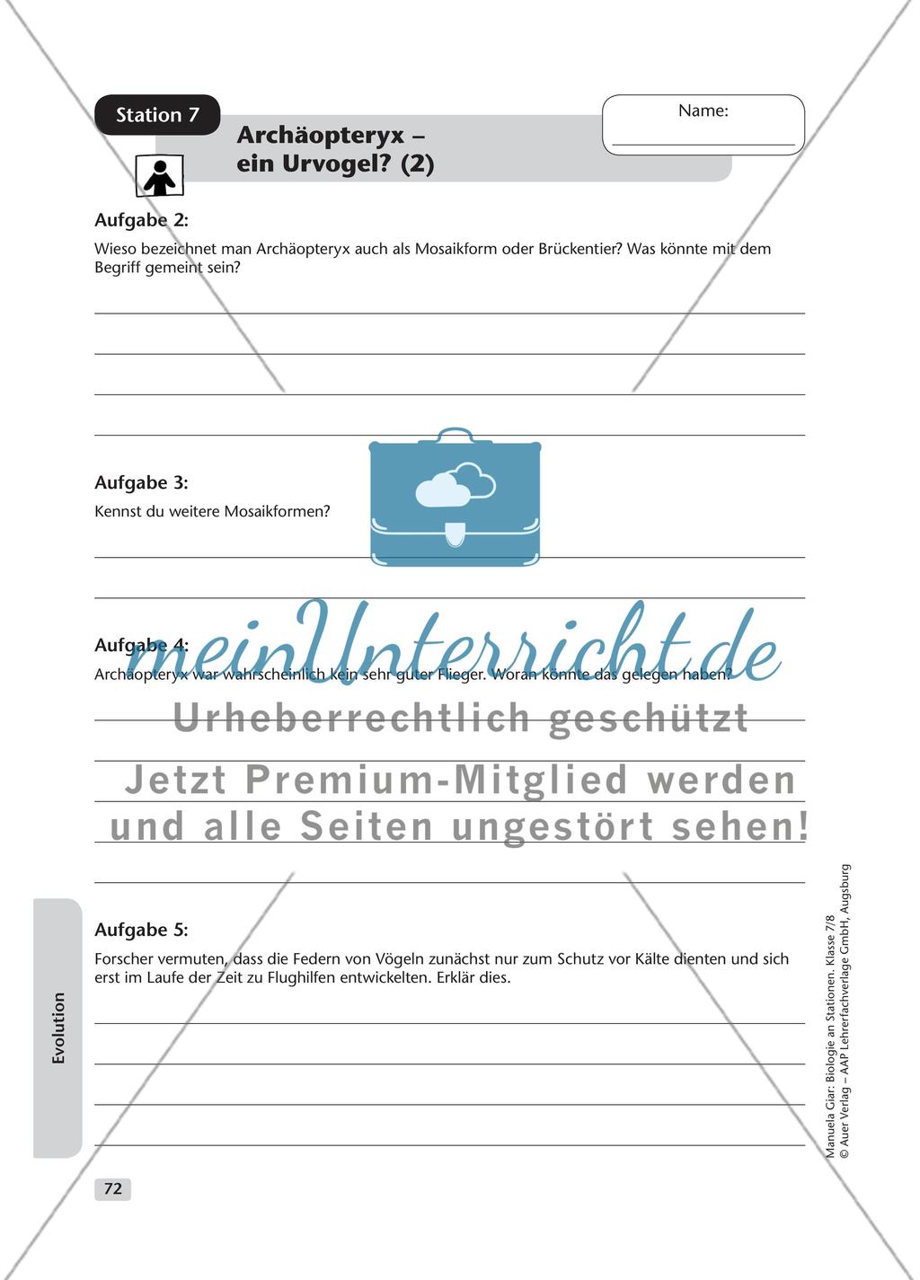 Evolution – Teil 2 Preview 2