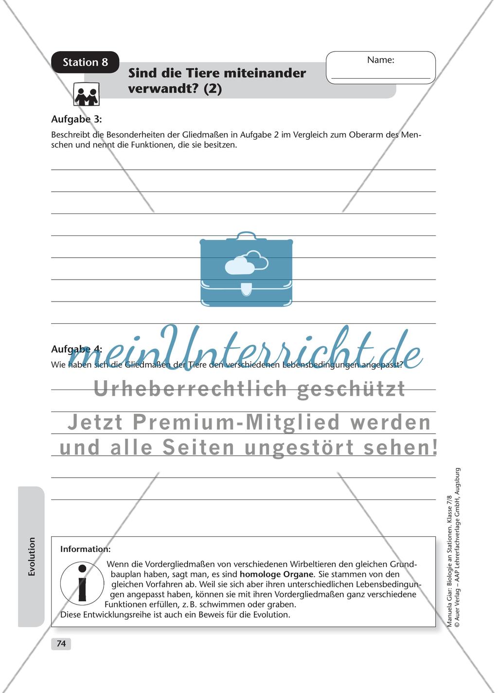 Evolution – Teil 2 Preview 4