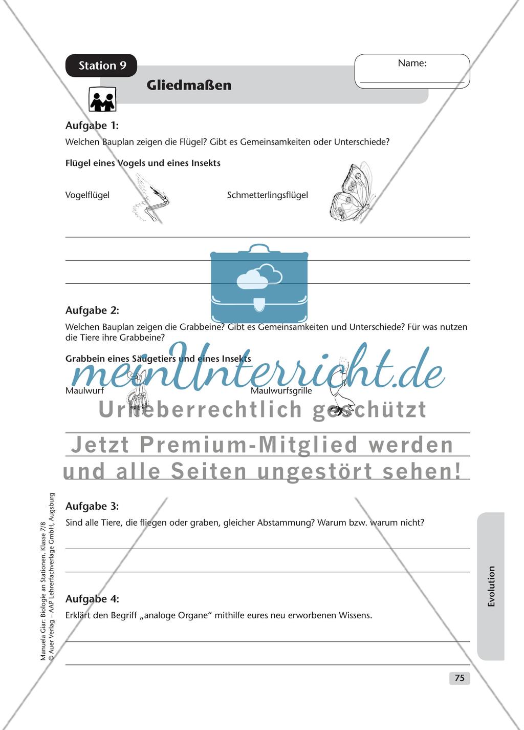 Evolution – Teil 2 Preview 5