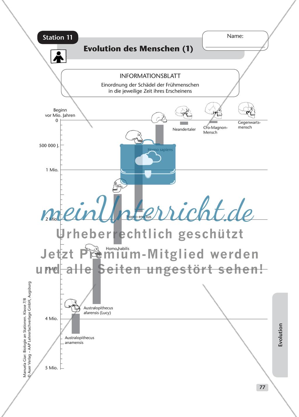 Evolution – Teil 2 Preview 7