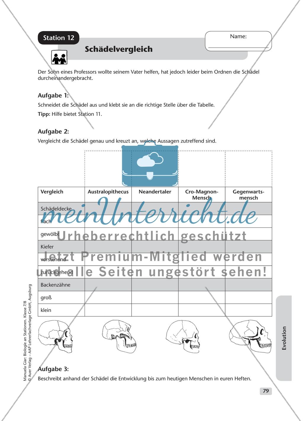 Evolution – Teil 2 Preview 9
