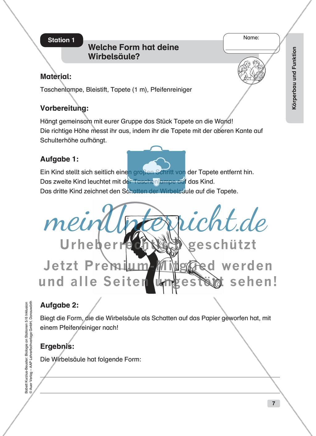 Körperbau und Funktion Preview 1