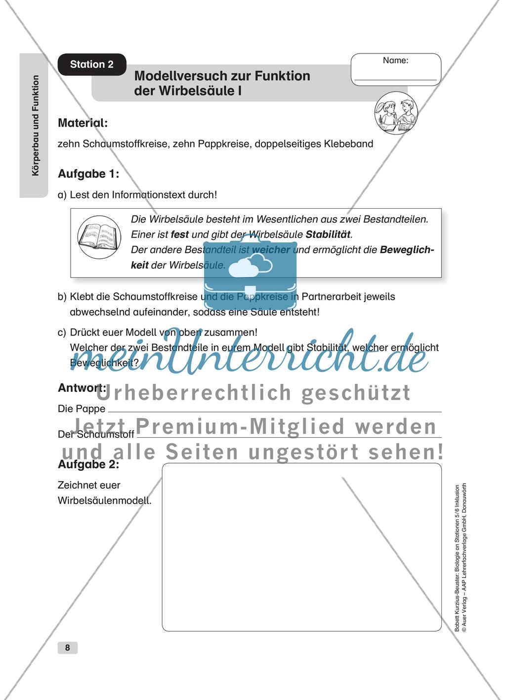 Körperbau und Funktion Preview 2
