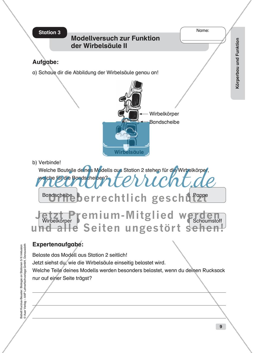 Körperbau und Funktion Preview 3