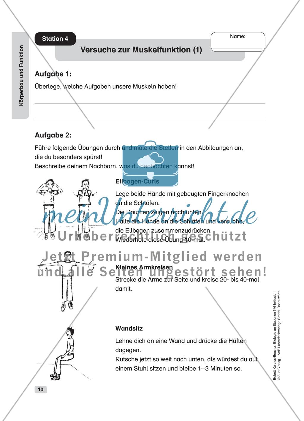 Körperbau und Funktion Preview 4