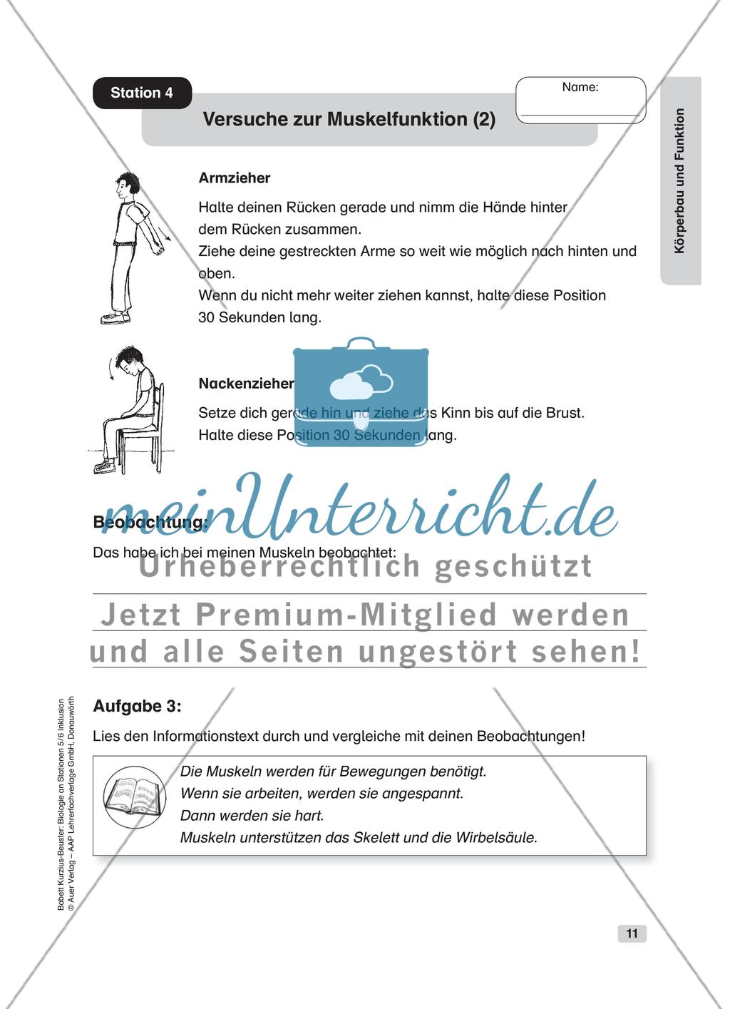 Körperbau und Funktion Preview 5
