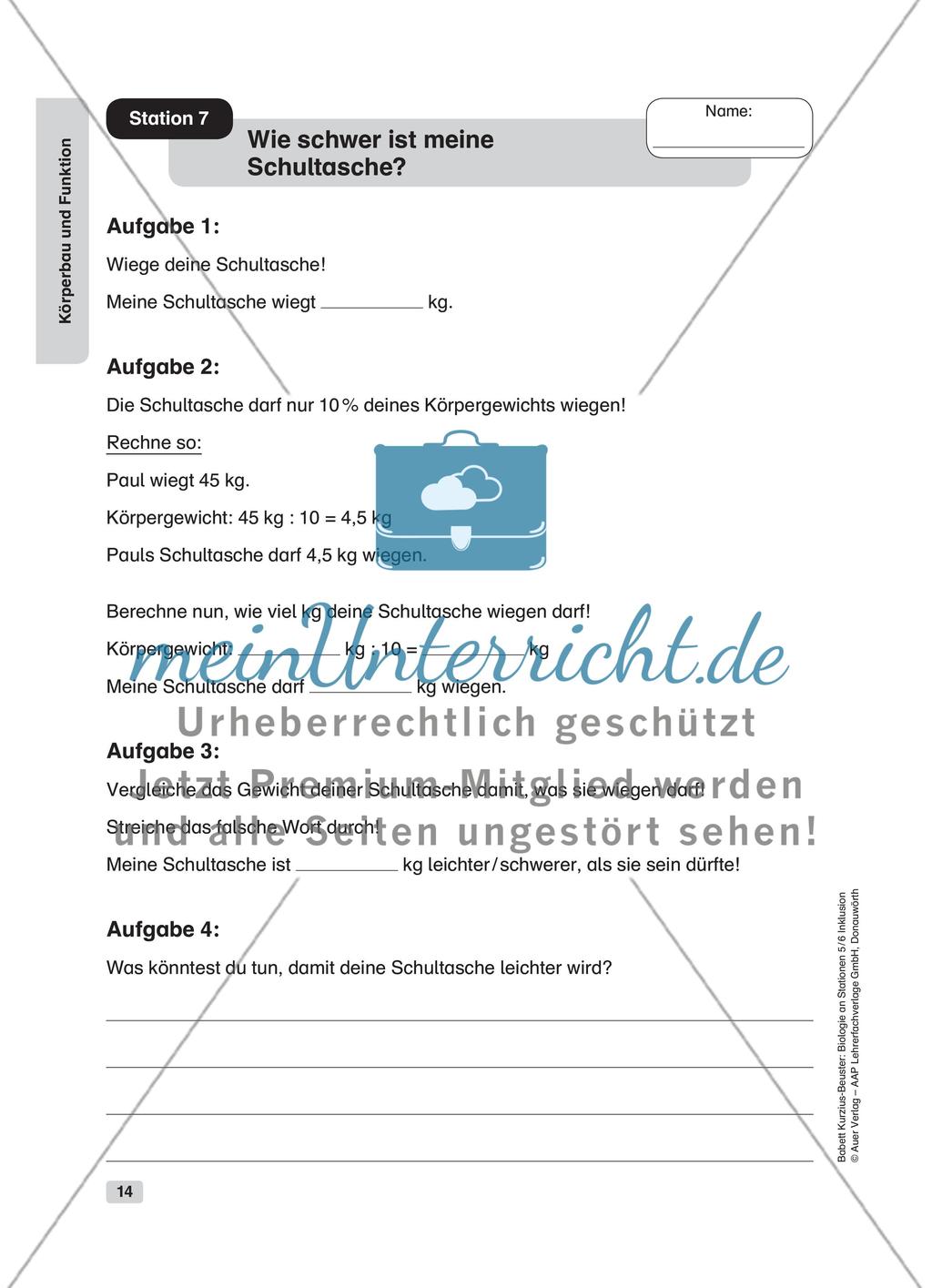 Körperbau und Funktion Preview 8