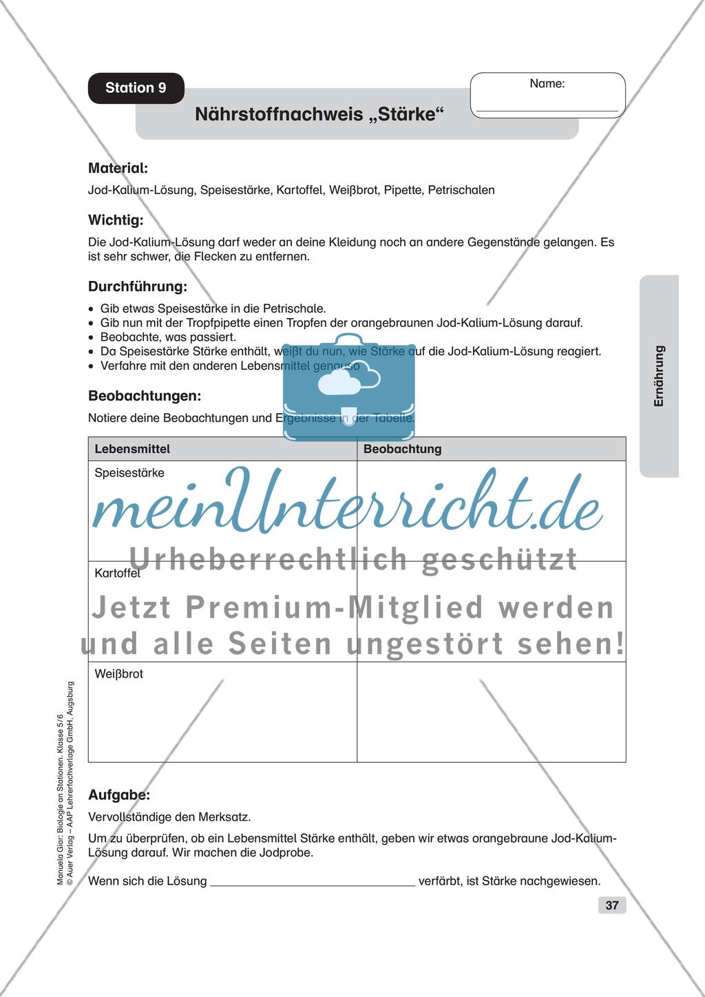 Ernährung Preview 10