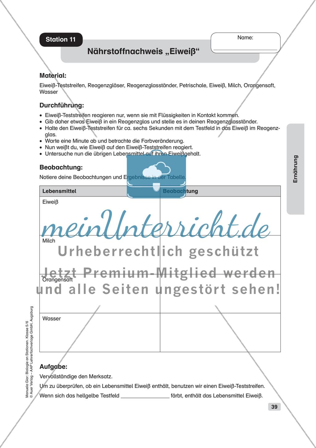 Ernährung Preview 12