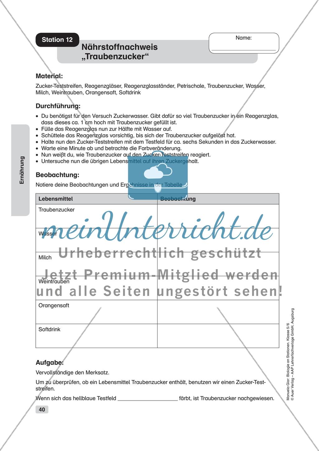 Ernährung Preview 13