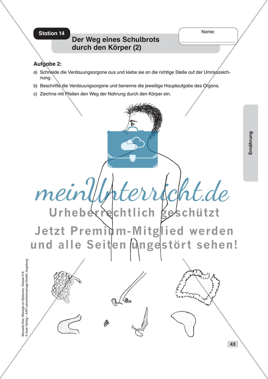 Ernährung Preview 16