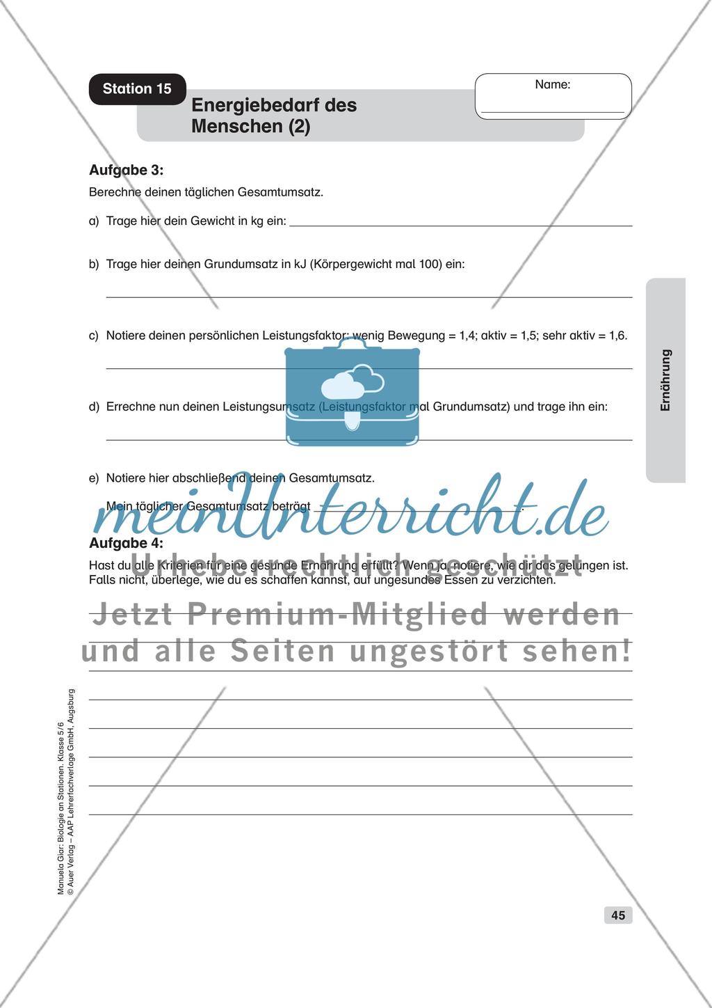 Ernährung Preview 18