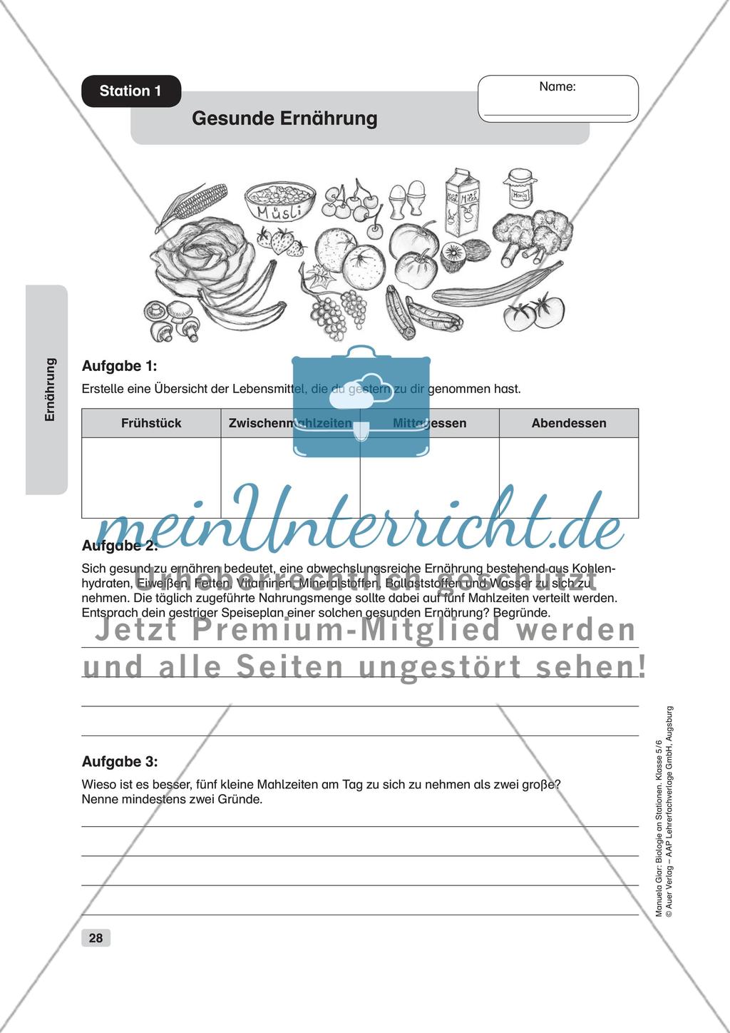 Ernährung Preview 1