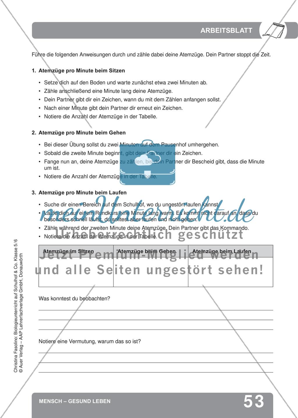 Mensch – Gesund leben Preview 11
