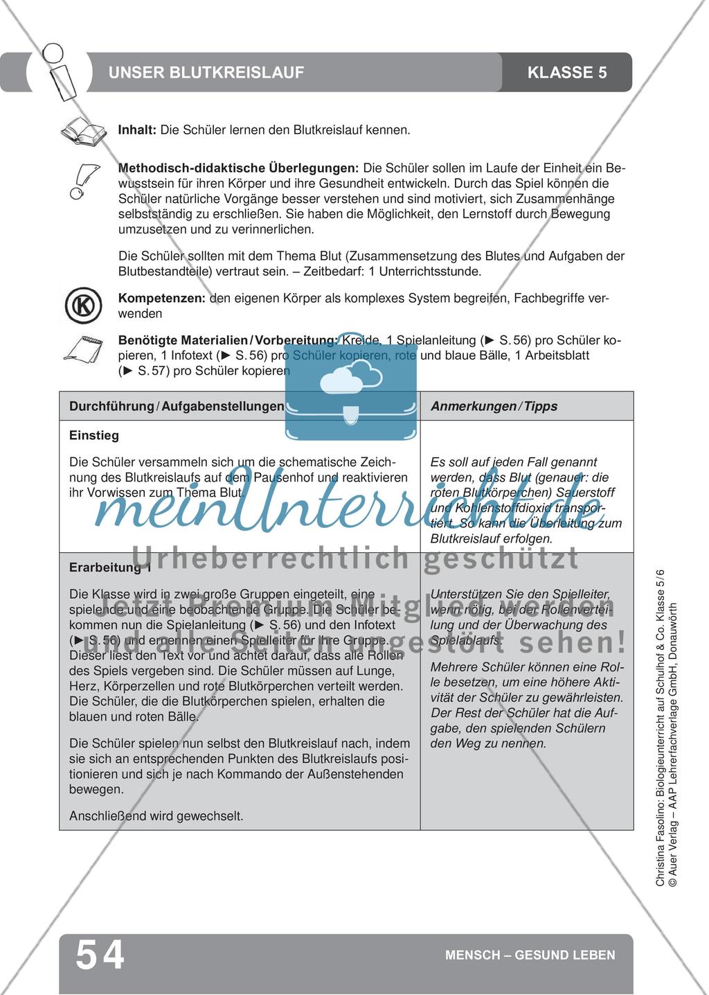 Mensch – Gesund leben Preview 12