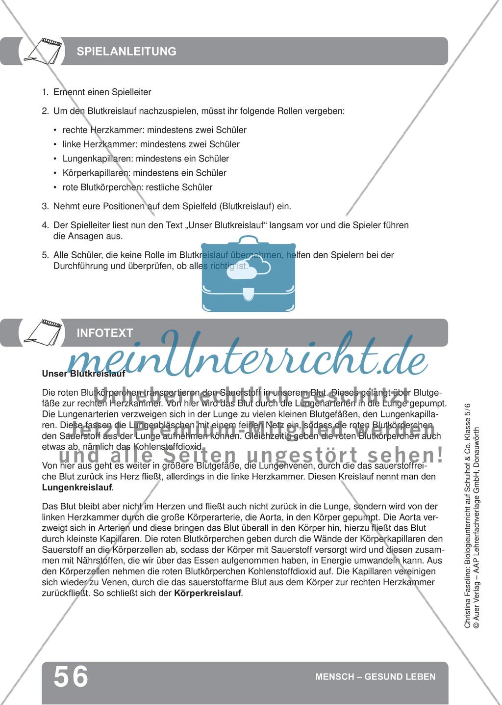 Mensch – Gesund leben Preview 14