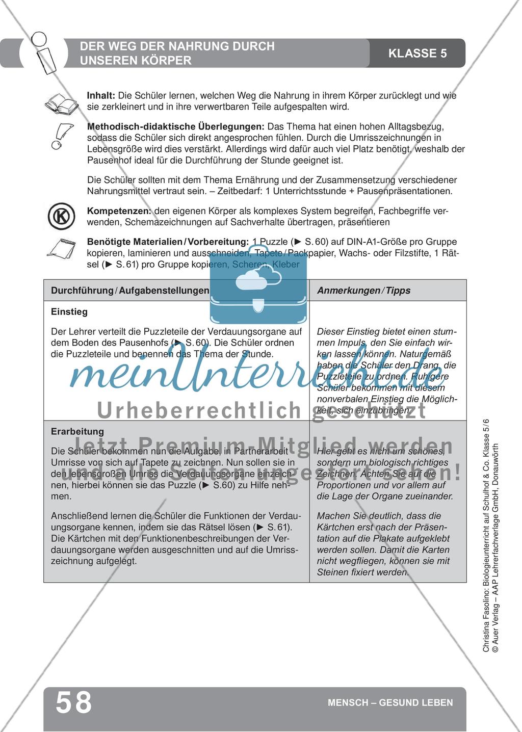 Mensch – Gesund leben Preview 16