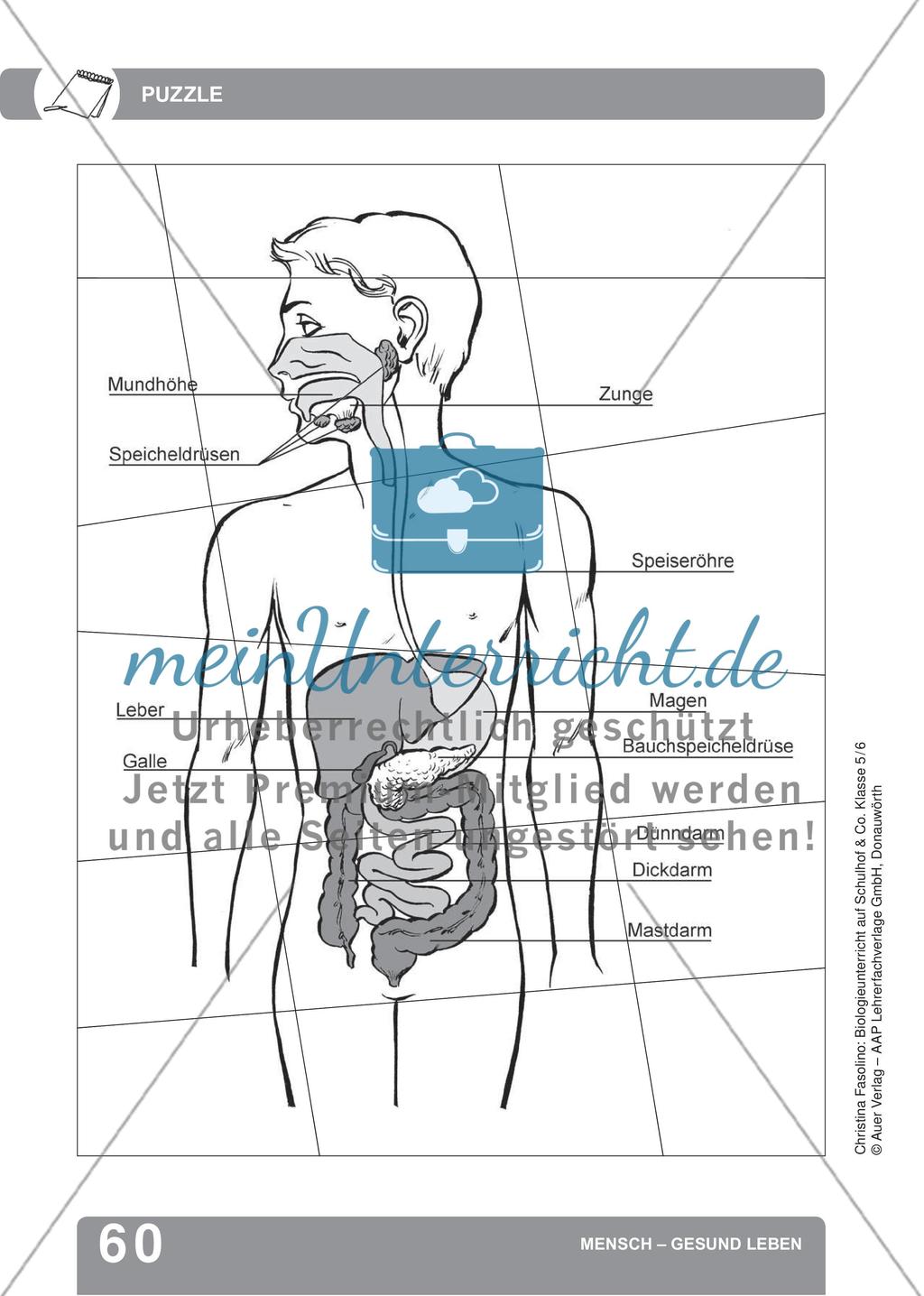 Mensch – Gesund leben Preview 18