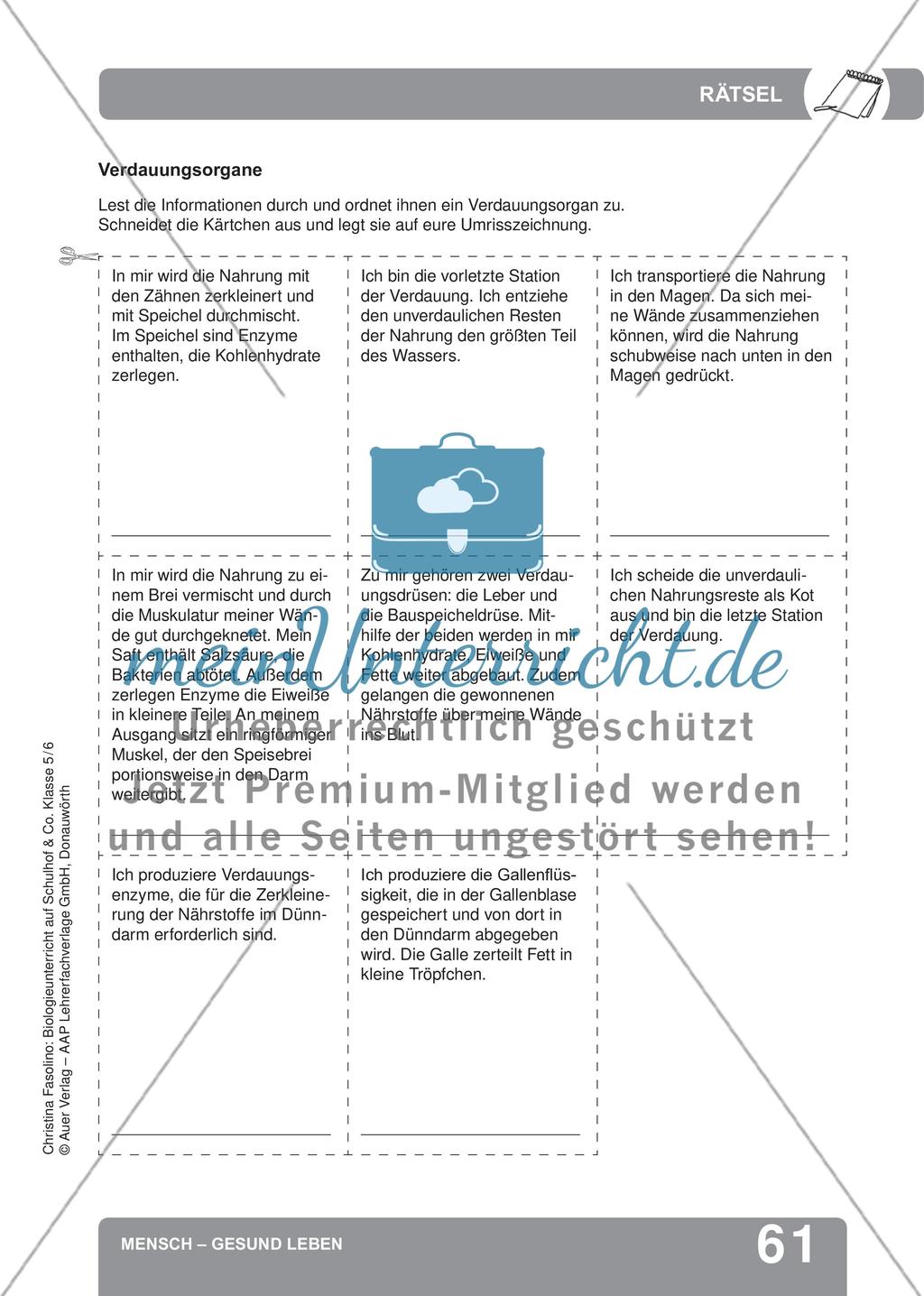 Mensch – Gesund leben Preview 19