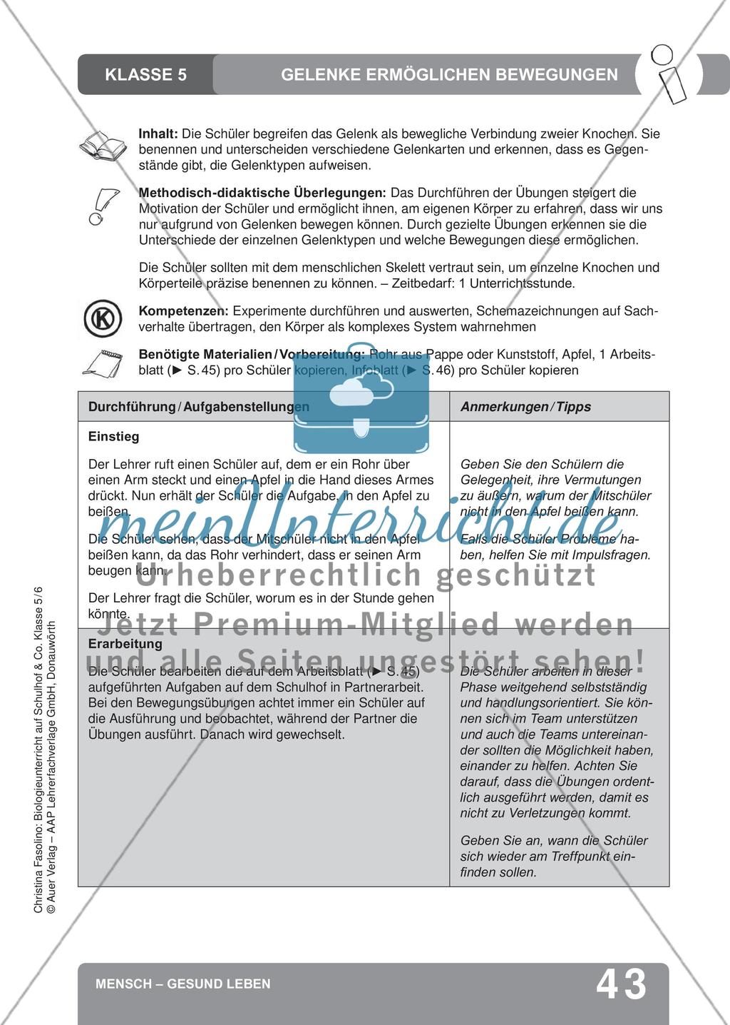 Mensch – Gesund leben Preview 1