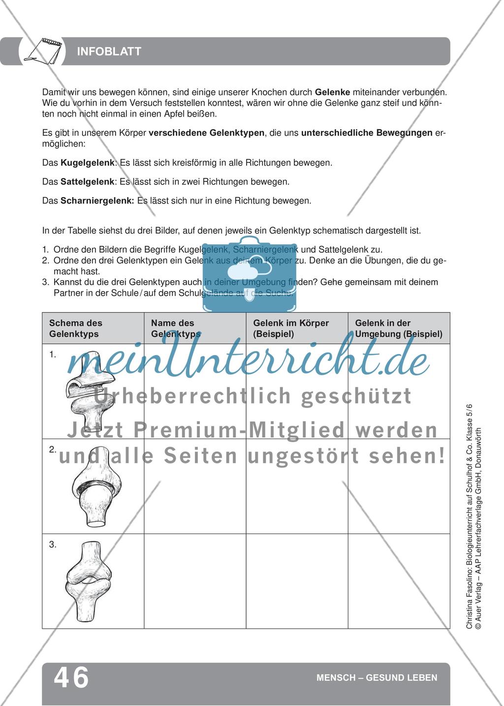 Mensch – Gesund leben Preview 4