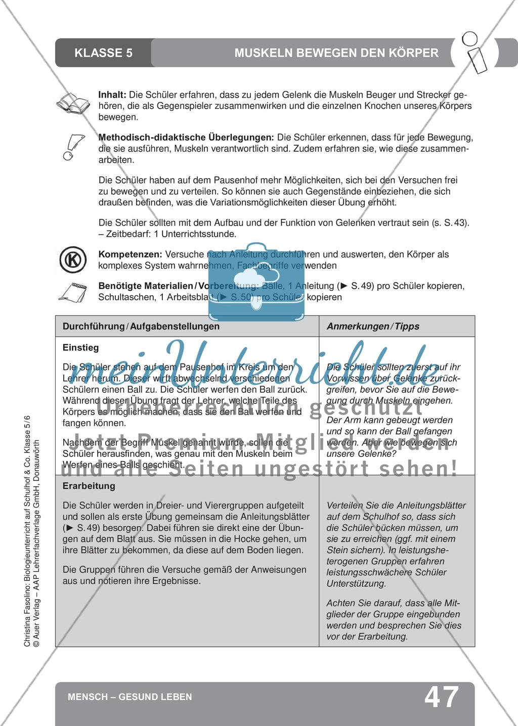 Mensch – Gesund leben Preview 5