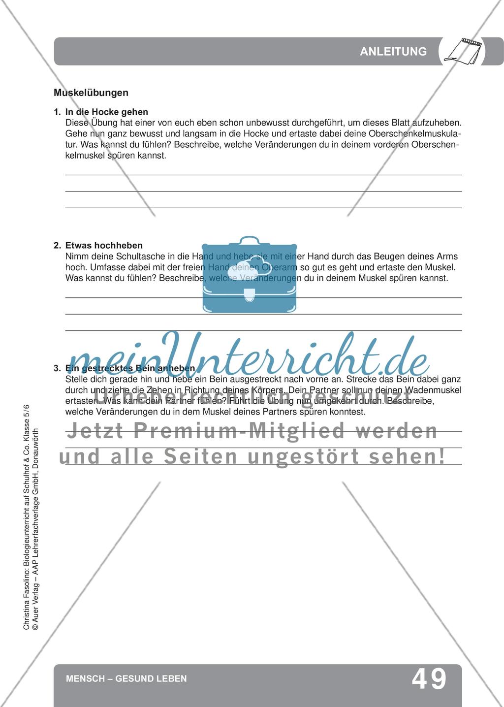 Mensch – Gesund leben Preview 7