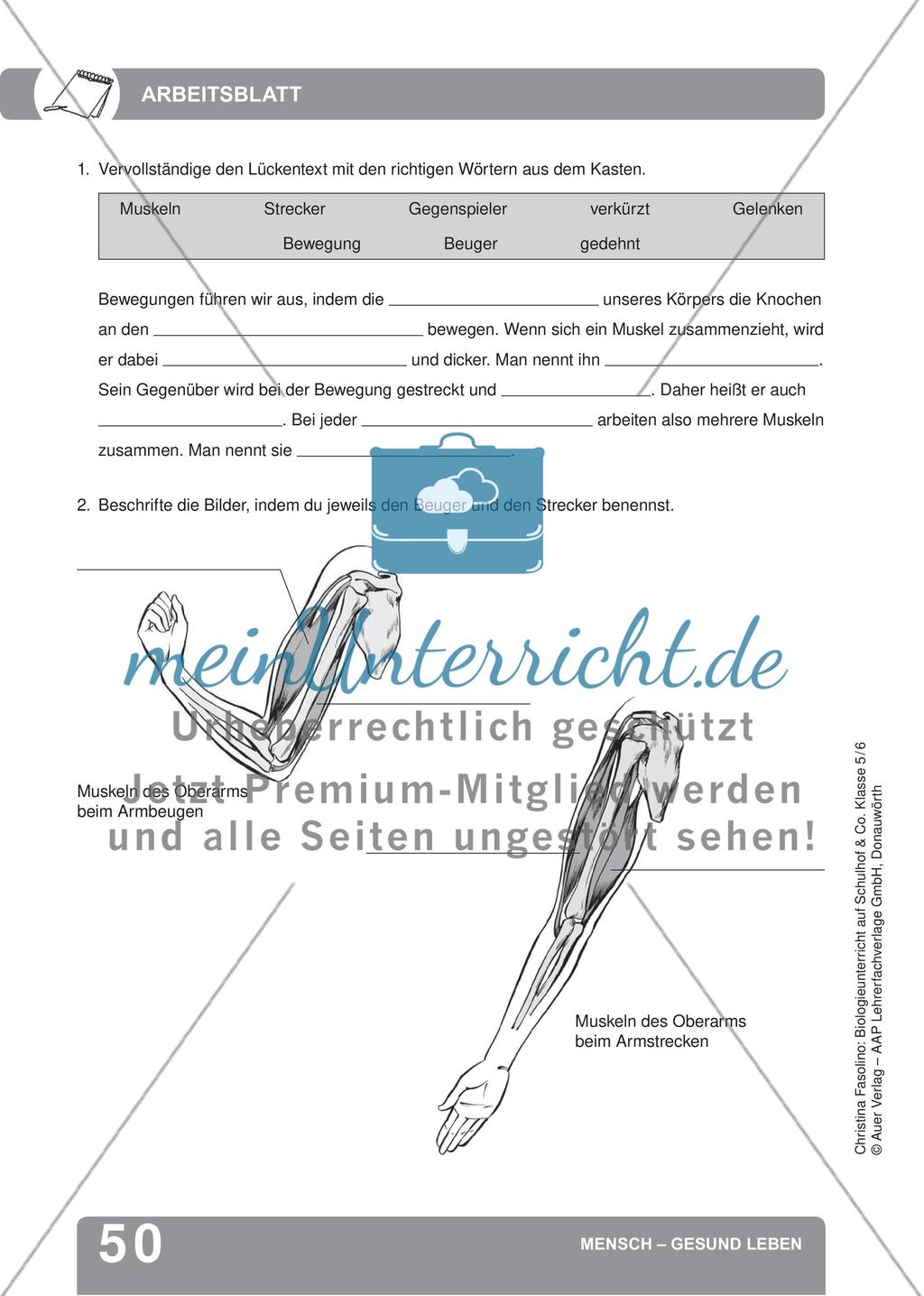 Mensch – Gesund leben Preview 8