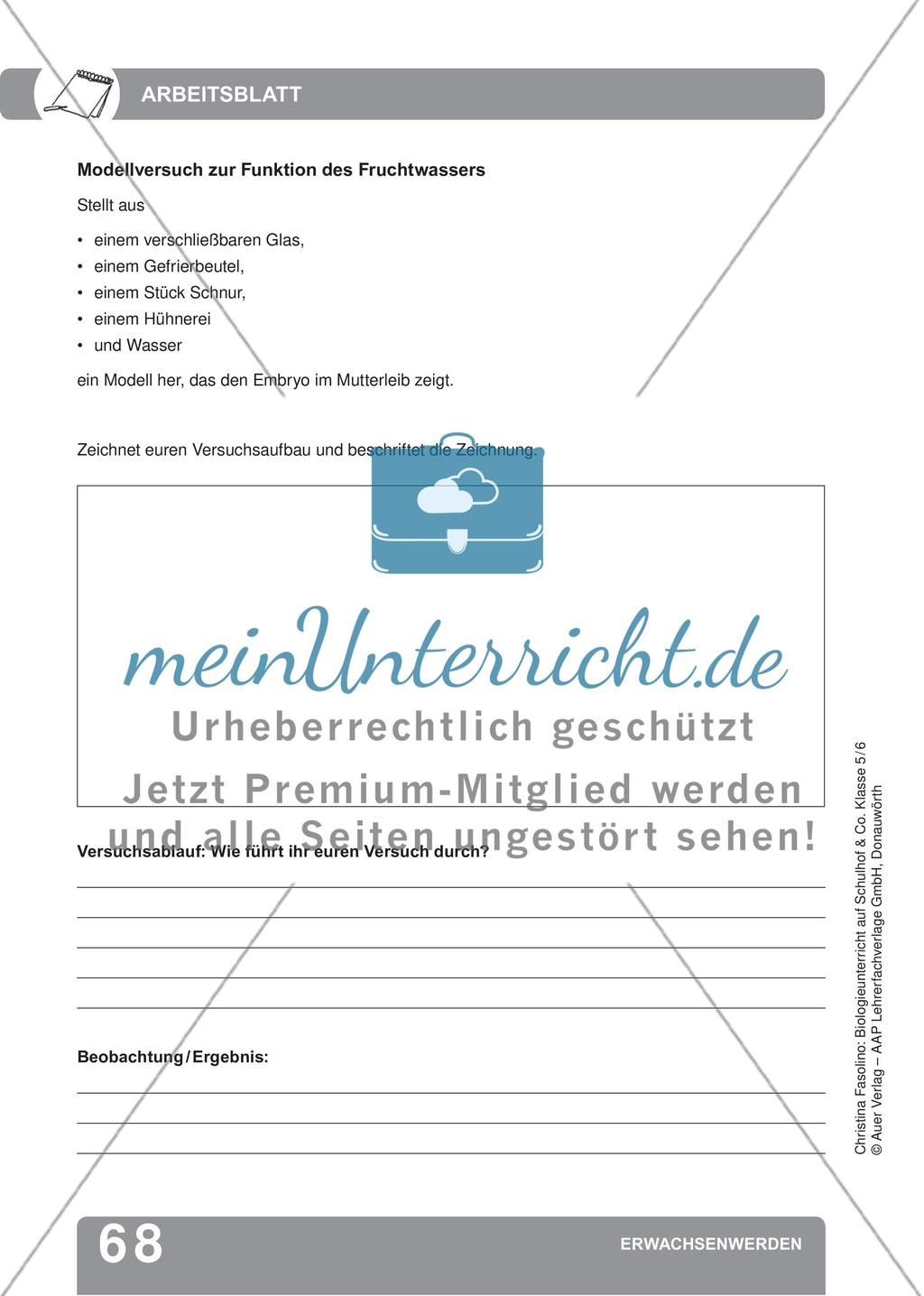 Erwachsenwerden Preview 7