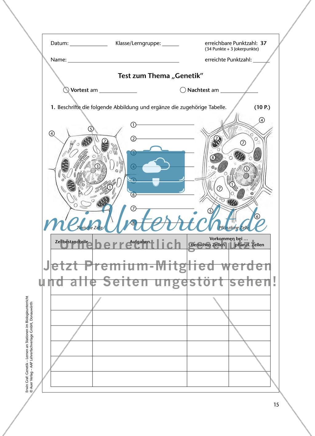 Test zum Thema „Genetik“ Preview 1