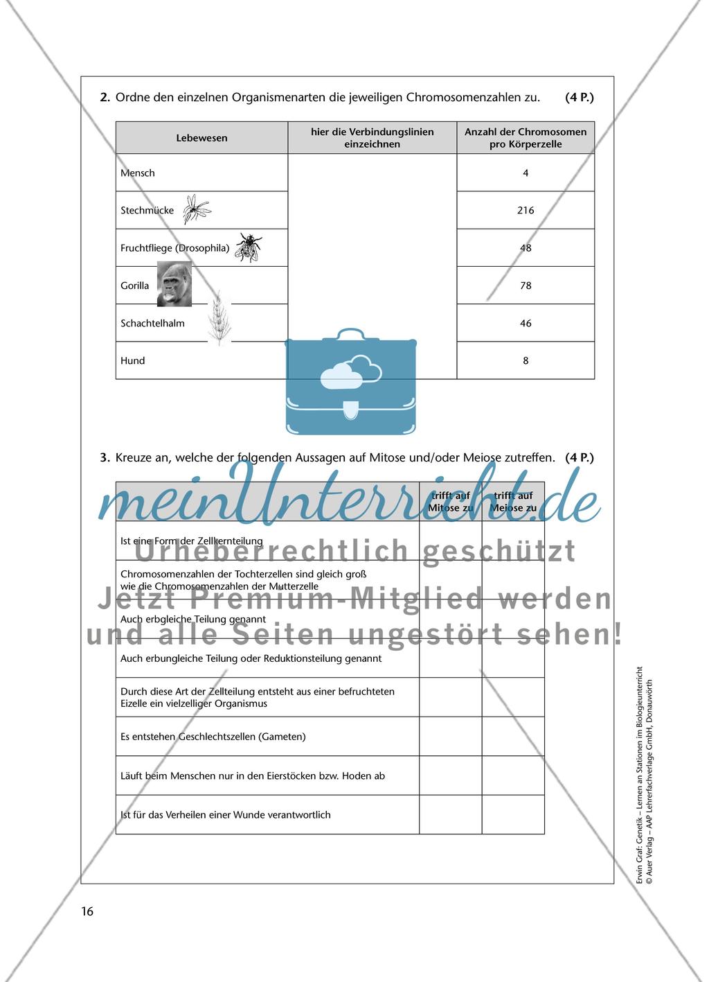 Test zum Thema „Genetik“ Preview 2