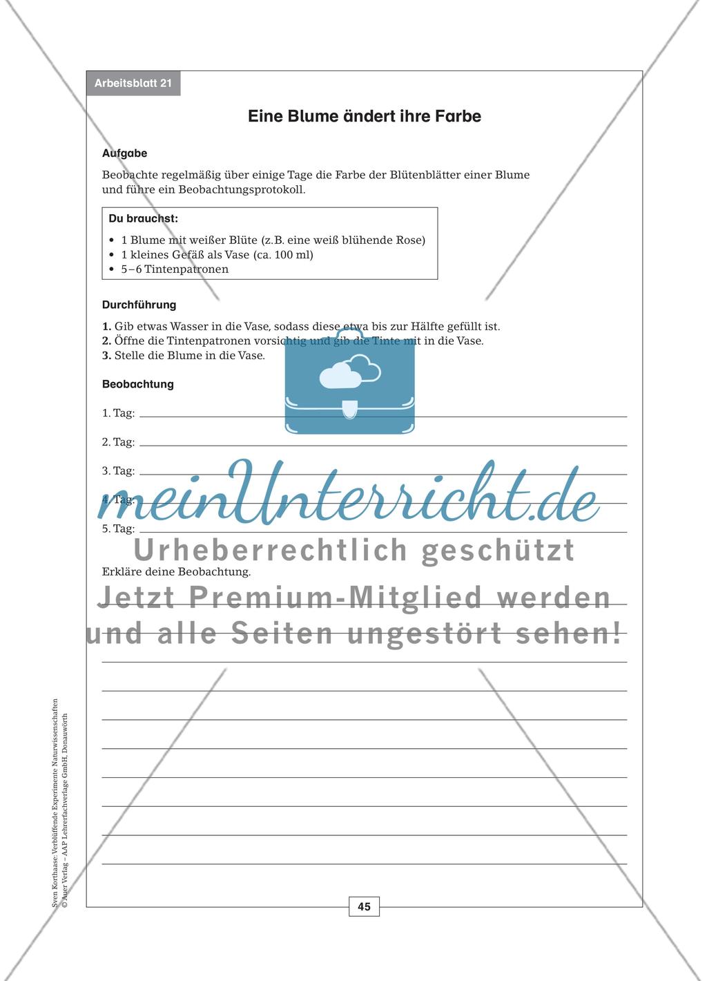 Versuche aus dem Bereich der Biologie Preview 9