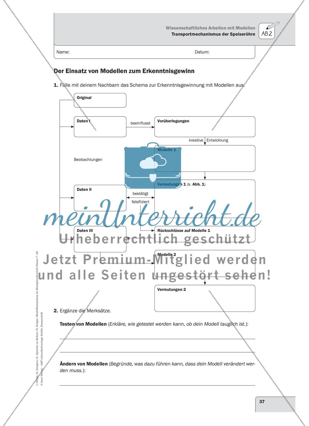Transportmechanismus der Speiseröhre Preview 4