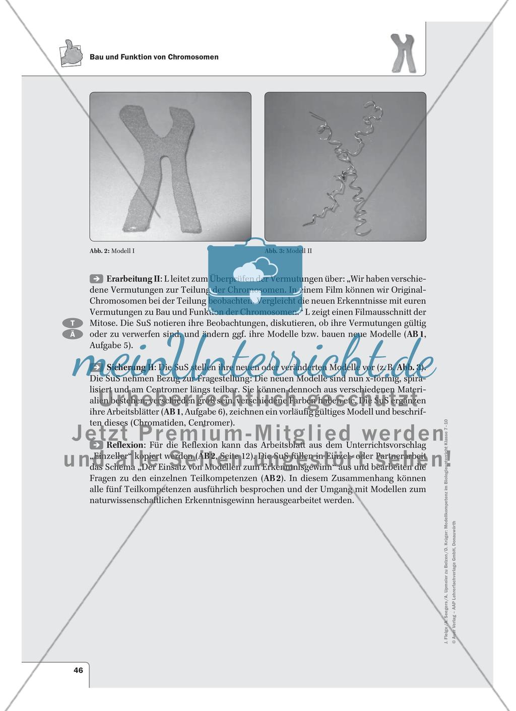 Bau und Funktion von Chromosomen Preview 2