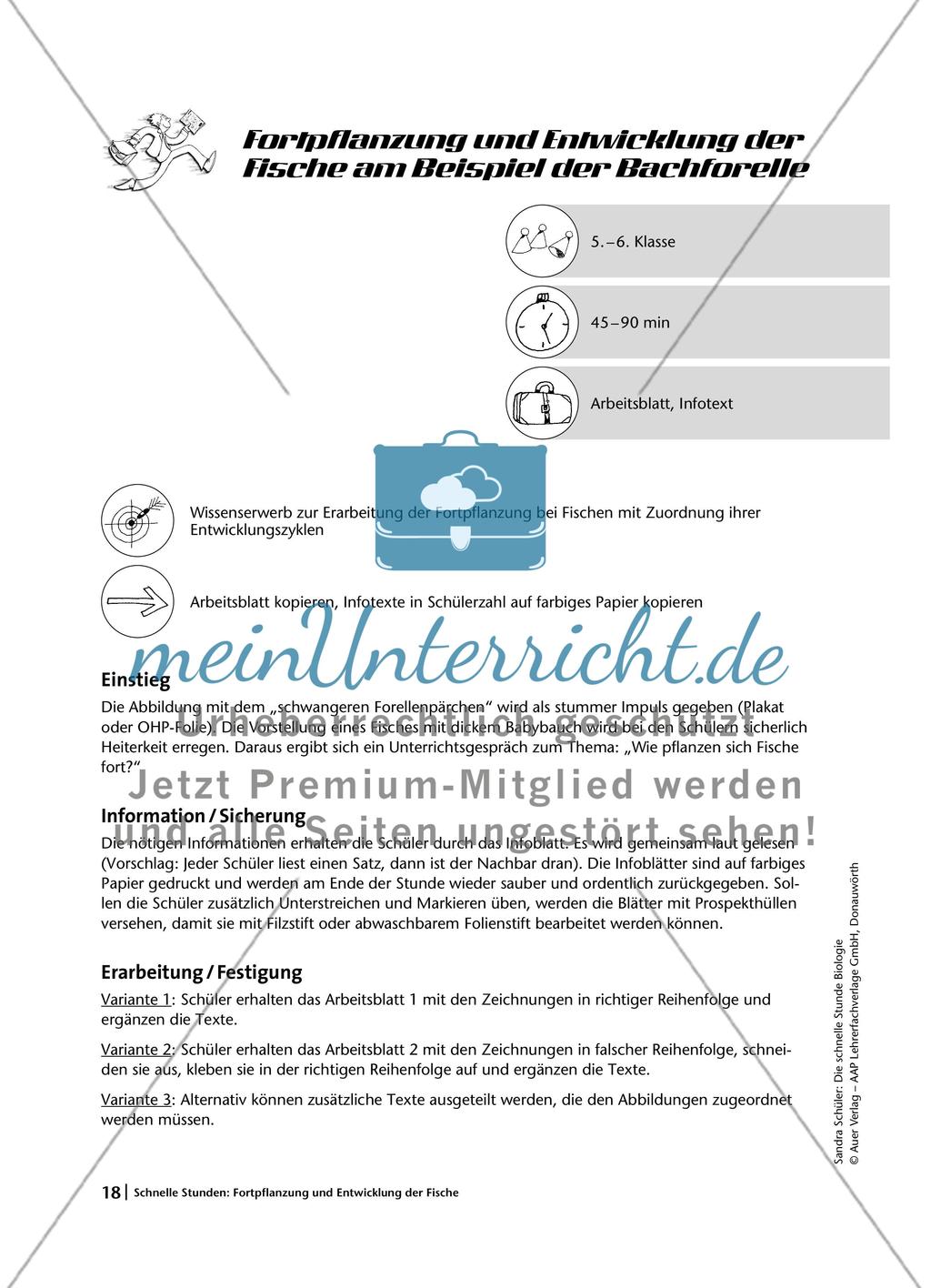 Fortpflanzung und Entwicklung bei Fischen am Beispiel der Bachforelle Preview 1