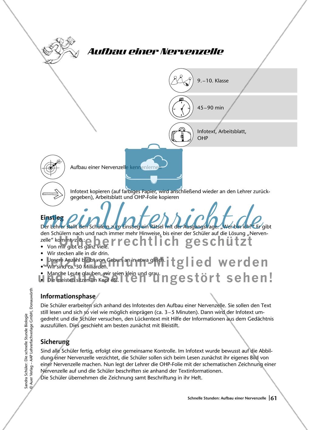 Aufbau einer Nervenzelle Preview 1