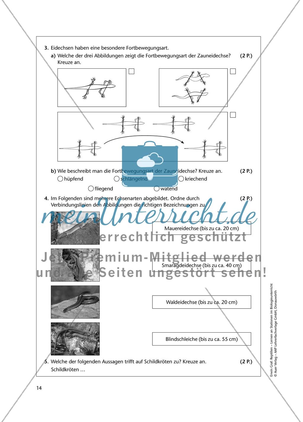 Test zum Thema „Reptilien“ Preview 2